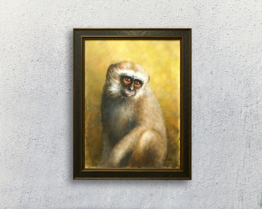Vervet Monkey