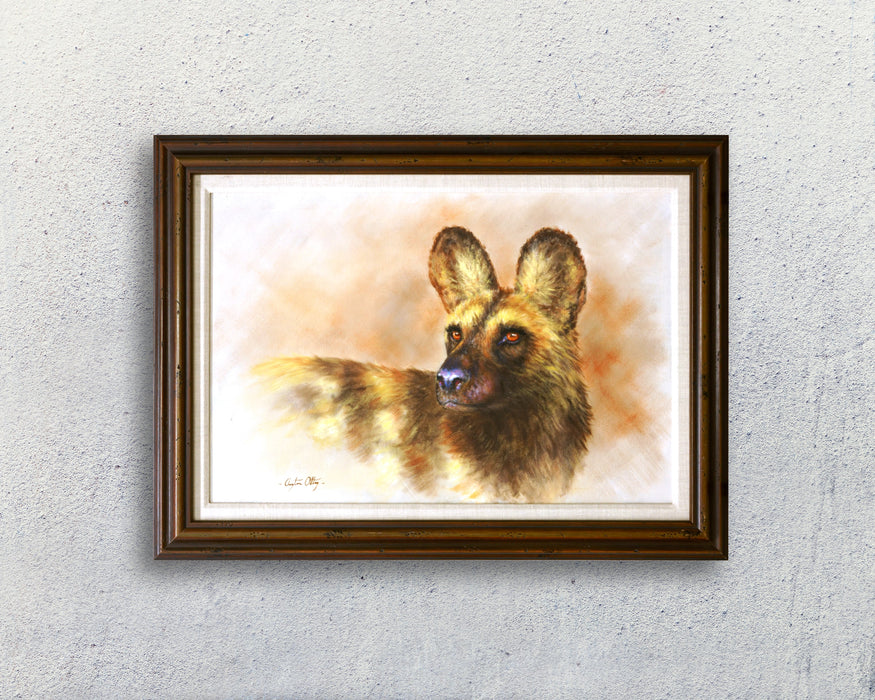 Wild Dog