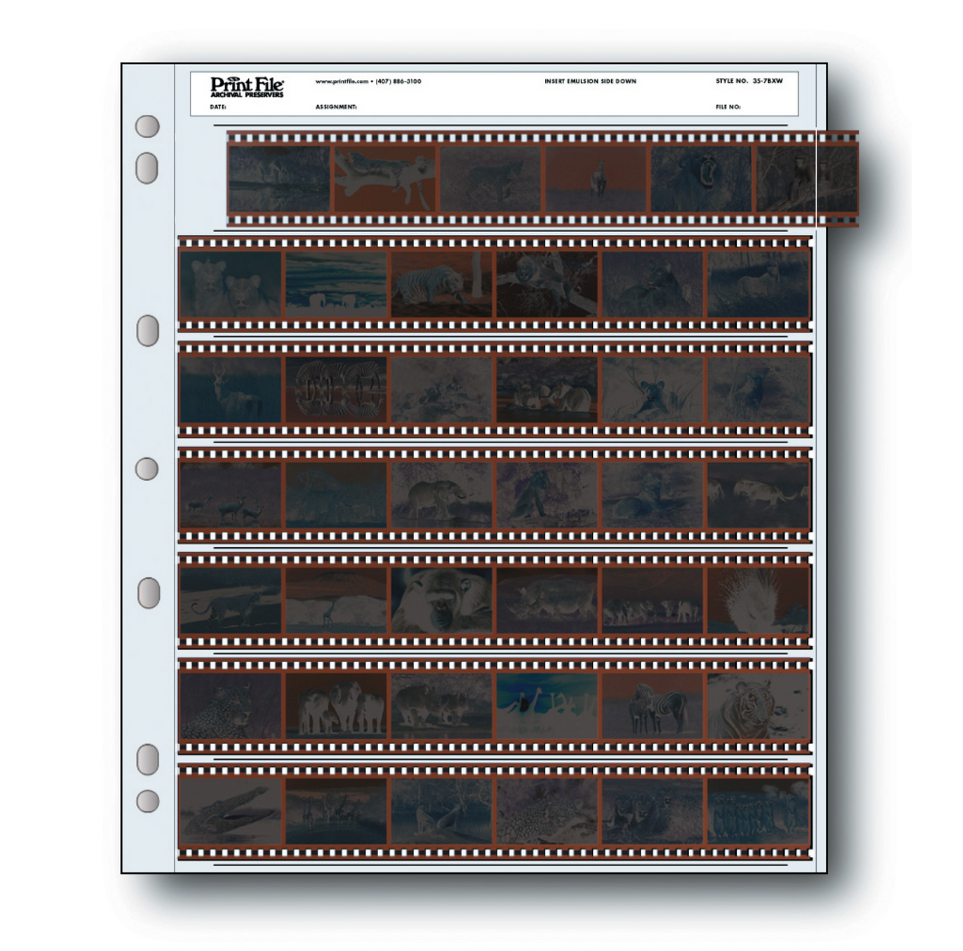 Film Archival