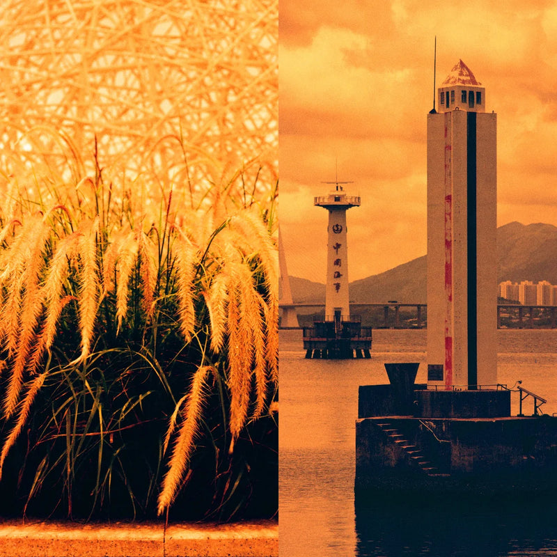 REFLX LAB DIABLO 100 RED SCALE FILM