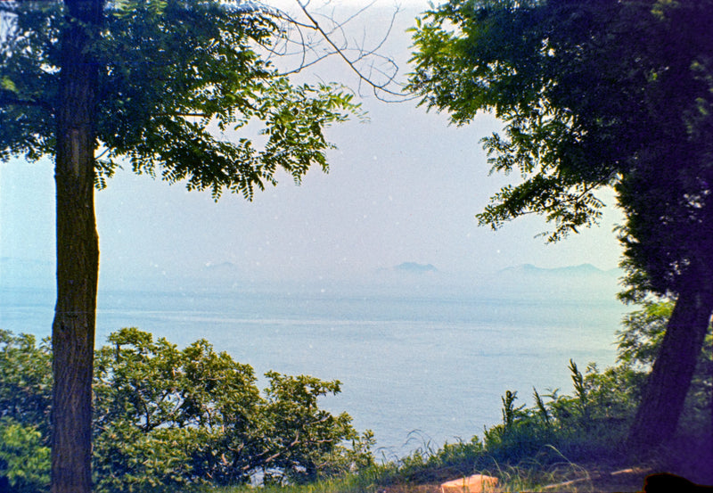 FORTUNA C200 110 COLOR NEGATIVE FILM