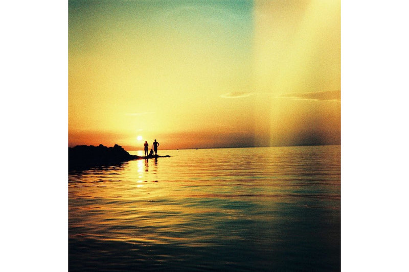 Diana F+ Camera & Flash 10 years Anniversary