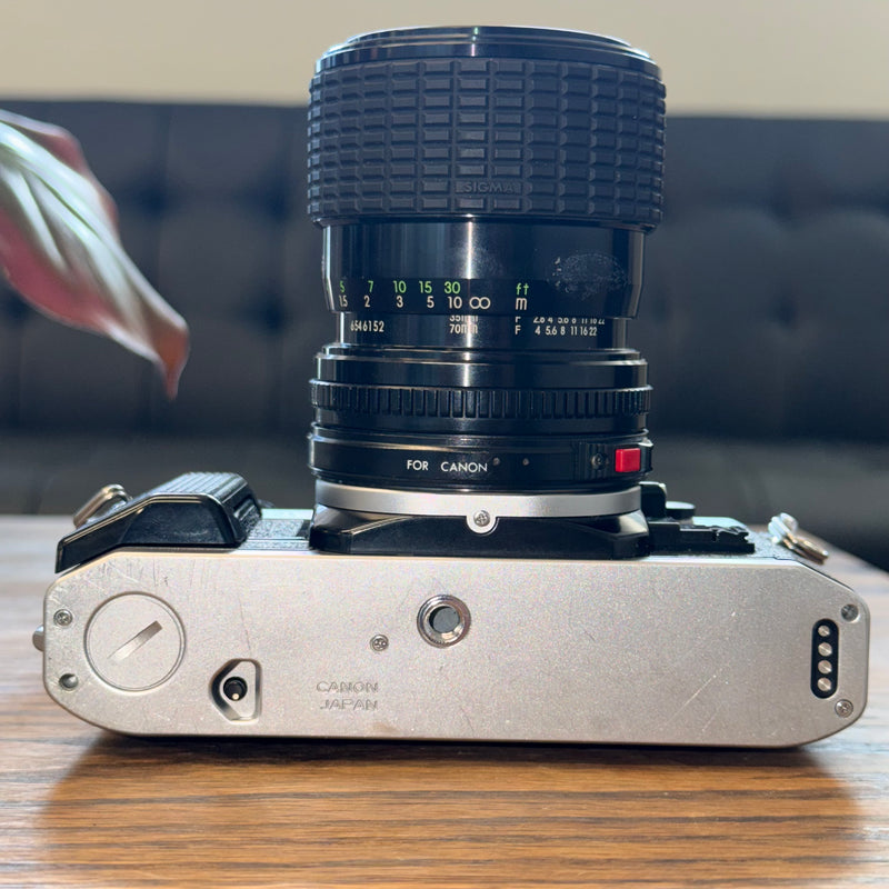 Canon AE-1 Program 35mm SLR + Sigma Zoom-Master 35-70mm f/2.8-4 Lens