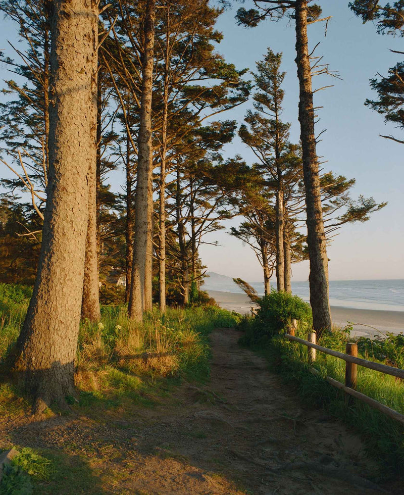 Kodak Ektacolor Pro 800 ISO 35mm x 36 exp. - Color Film