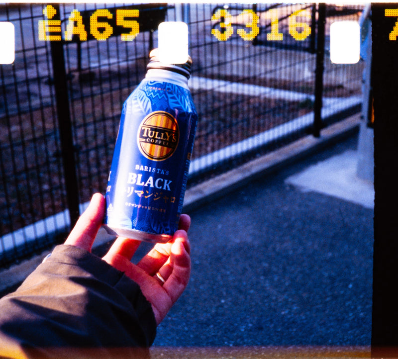 REFLX LAB 100R COLOR REVERSAL 110 FILM