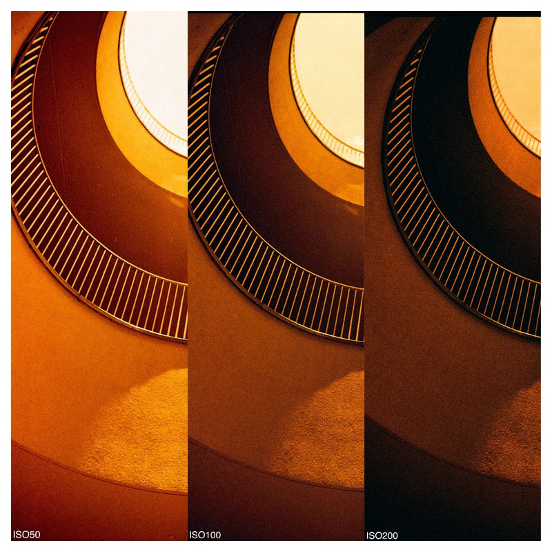 REFLX LAB DIABLO 100 RED SCALE FILM