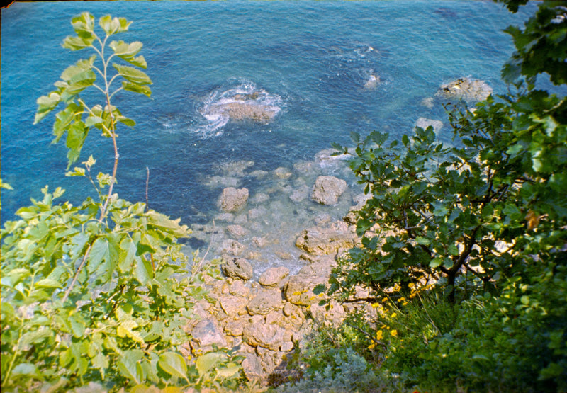 FORTUNA C200 110 COLOR NEGATIVE FILM