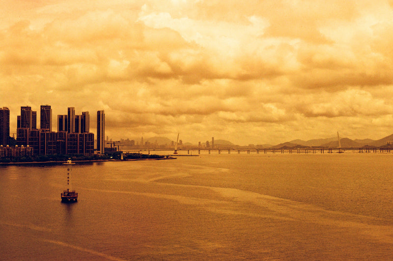 REFLX LAB DIABLO 100 RED SCALE FILM