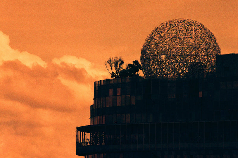 REFLX LAB DIABLO 100 RED SCALE FILM