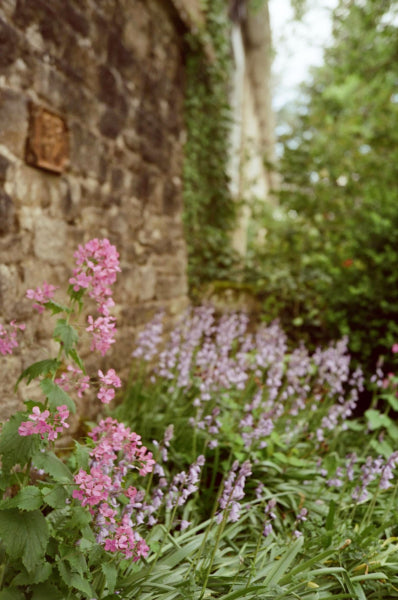 Candido 50 ISO 35mm x 36 exp. - Color Negative Film