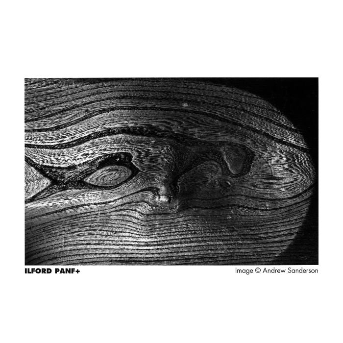 Ilford PANF 50 PLUS 120