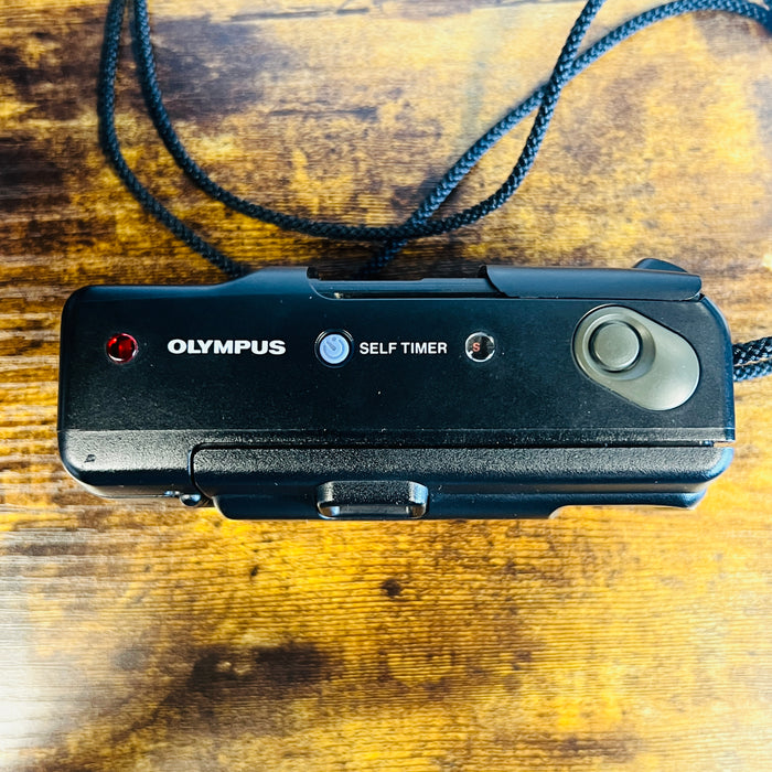 Olympus AM-100 Quartzdate