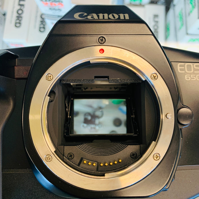Canon EOS 650 35mm w/ 35-80mm Lens
