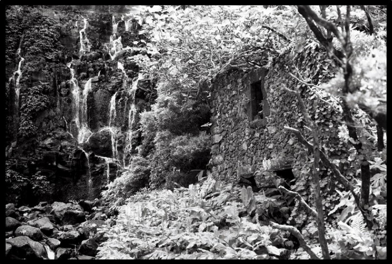 Film Washi - Z - 400 ISO - 35mm - 24 Exp