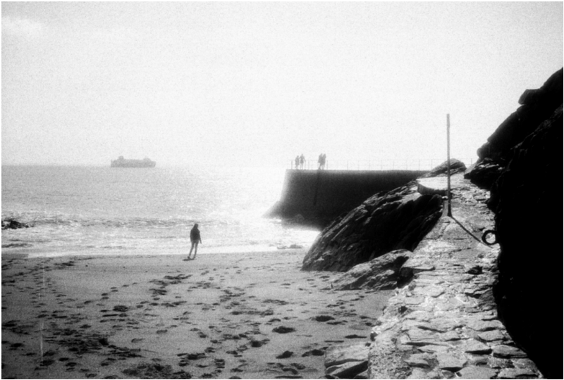 Film Washi "F" 100 ISO 35mm x 24 exp. - Re-purposed Specialty Film