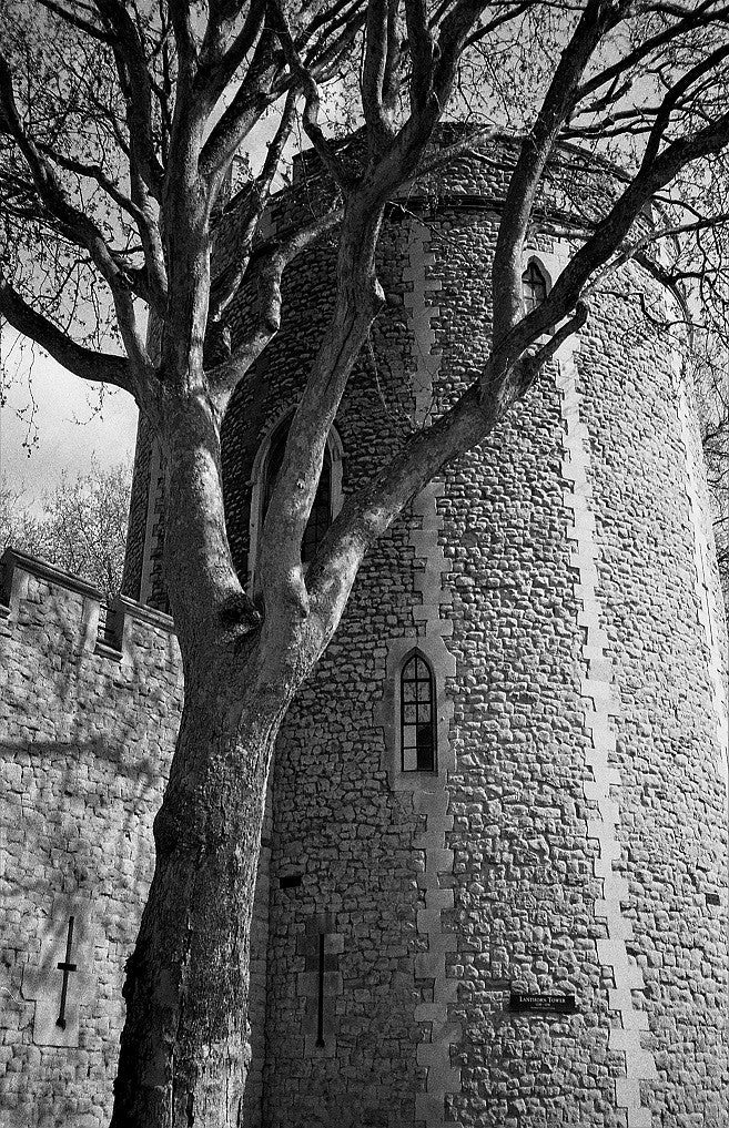 Ilford HP5 Plus 400 120